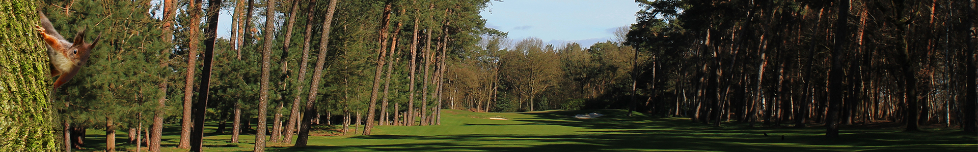 Header-Hole15-Eekhoorn