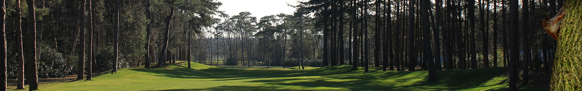 Header-Hole5-Eekhoorn