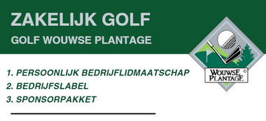 Afbeelding zakelijk website